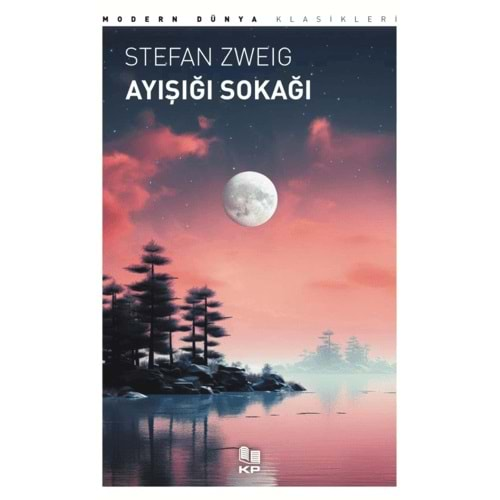 AYIŞIĞI SOKAĞI-STEFAN ZWEİG-KİTAPPAZARI YAYINLARI