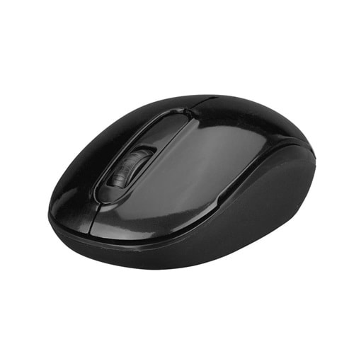 EVEREST SMW-666 USB SİYAH 2.4 GHZ OPTİK KABLOSUZ MOUSE