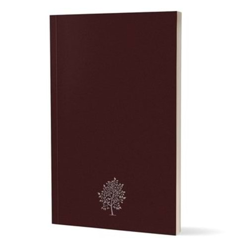 KALİPSO KREATİF BORDO HAYAT 15*22 ÇİZGİLİ BUTİK DEFTER