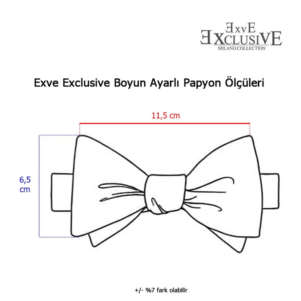 Purple Black Paisley Bowtie