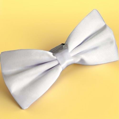 White Basic Bowtie