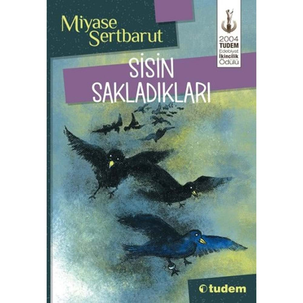 TUDEM | SİSİN SAKLADIKLARI