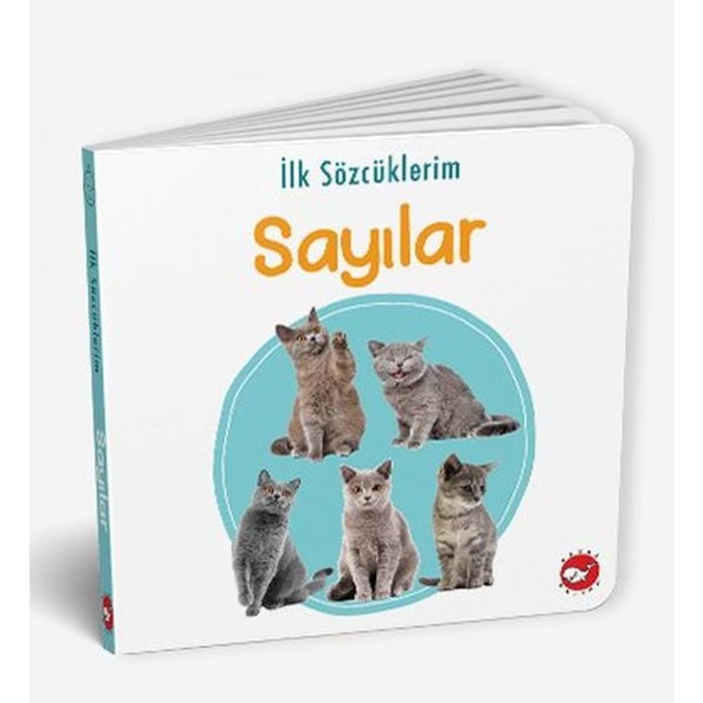 BEYAZBALİNA | İLK SÖZCÜKLERİM - SAYILAR
