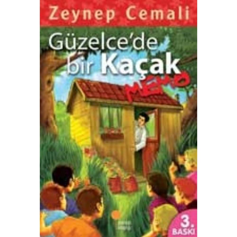 GÜNIŞIĞI | GÜZELCEDE BİR KAÇAK, MEMO