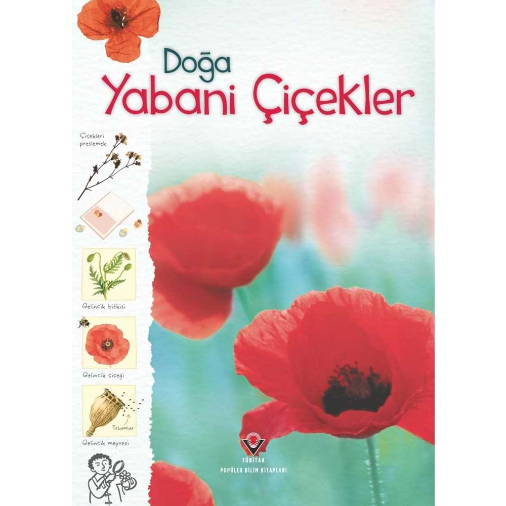 TÜBİTAK | DOĞA YABANI ÇIÇEKLER