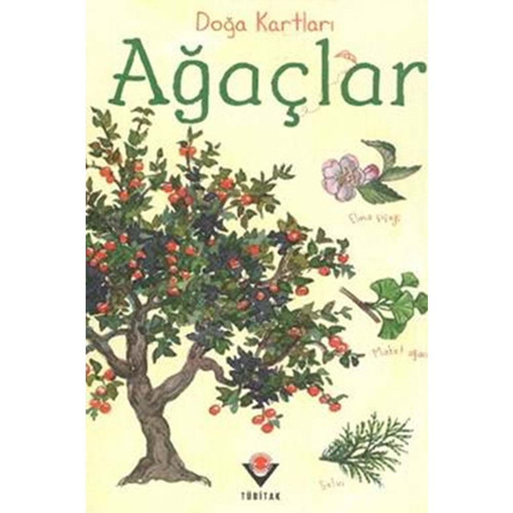 TÜBİTAK | DOĞA KARTLARI AĞAÇLAR