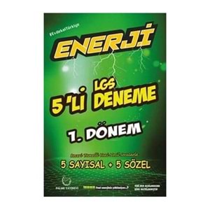 PALME | 8.SINIF ENERJİ LGS 1.DÖNEM 5 Lİ DENEME - 2022