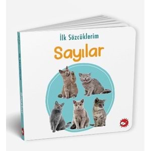 BEYAZBALİNA | İLK SÖZCÜKLERİM - SAYILAR