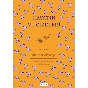 BEYAZBALİNA | HAYATIN MUCİZELERİ (KARTON KLASİKLER)