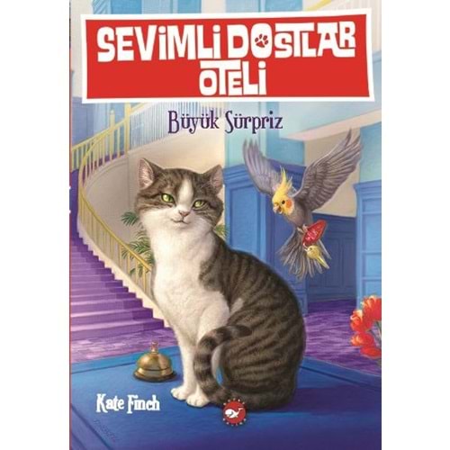 BEYAZBALİNA | SEVİMLİ DOSTLAR OTELİ 2 - BÜYÜK SÜRPRİZ