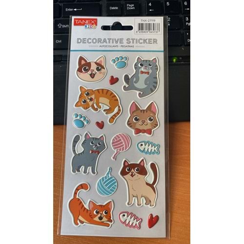 TANEX | TNX-27119 PUFFY OYUNCU KEDİ SERİSİ